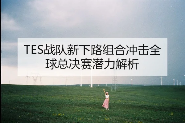 TES战队新下路组合冲击全球总决赛潜力解析